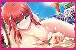 アリスネット様